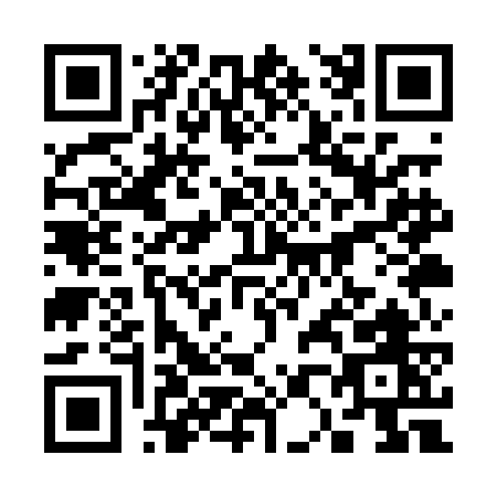 QR code for 301PG