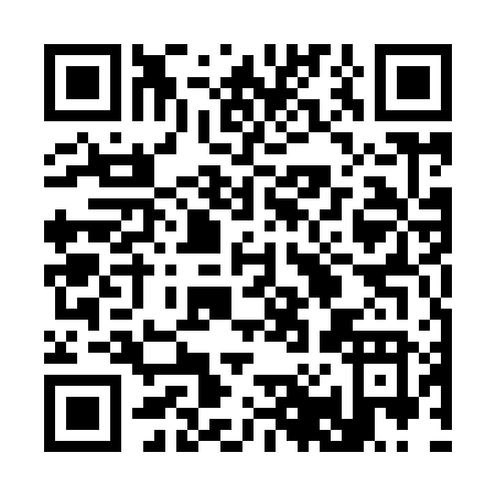 QR code for plate 3-0596