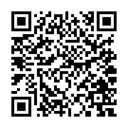 QR code for plate 3-06XF