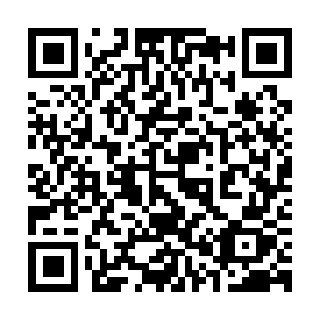 QR code for plate 3-0717Z