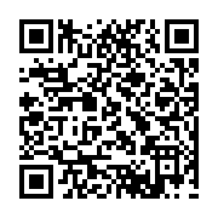 QR code for 30738