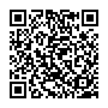 QR code for plate 3-07920