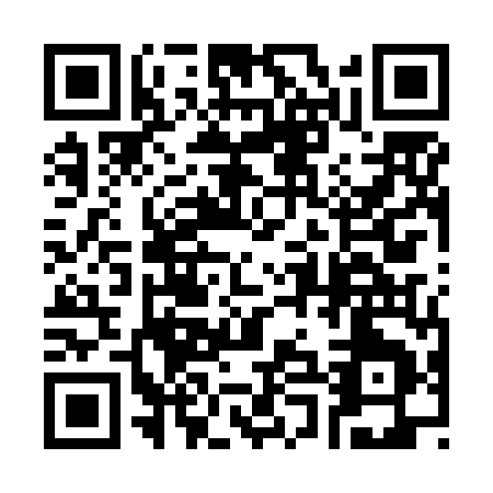 QR code for plate 3-0INM