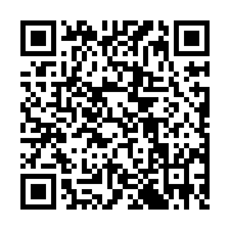QR code for plate 3-0WII