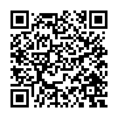 QR code for 313FT