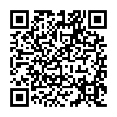 QR code for 313QL