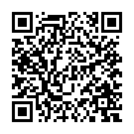 QR code for 315DZ