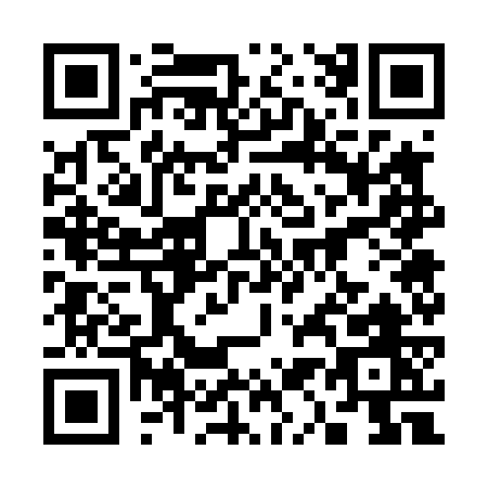 QR code for plate 3-1747