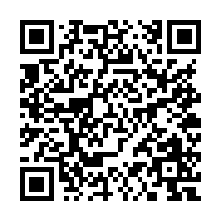 QR code for plate 3-17XQ