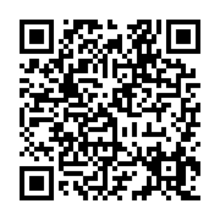 QR code for 319QS