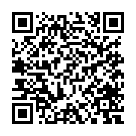 QR code for plate 3-1CHL
