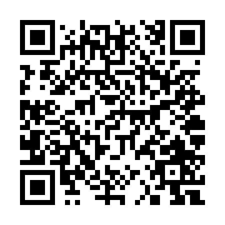 QR code for plate 3-2VPP