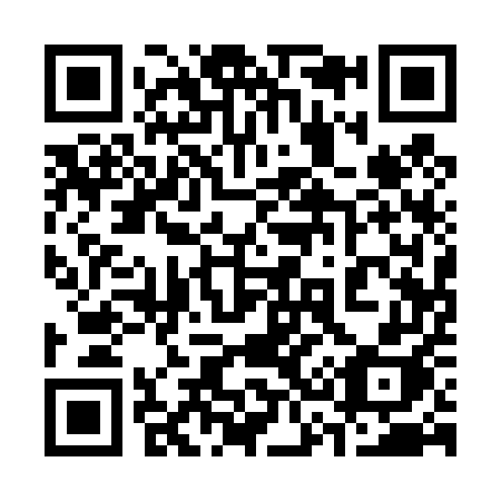 QR code for plate 3-3145H