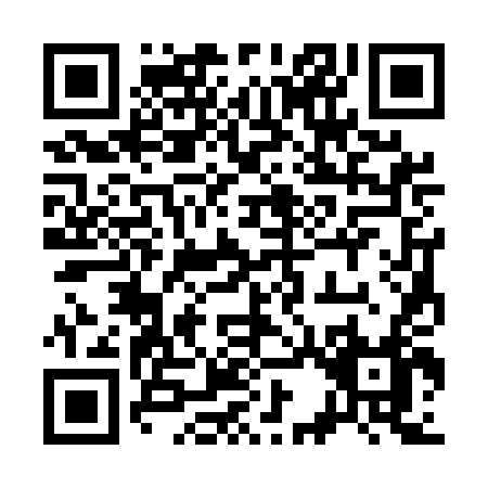 QR code for plate 3-335D