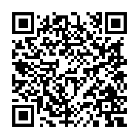 QR code for 33386