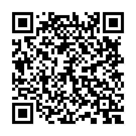 QR code for 33386H