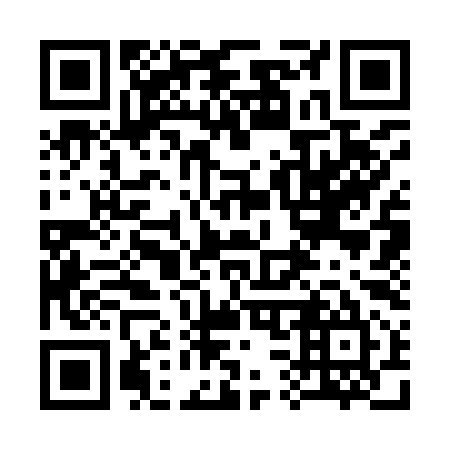 QR code for plate 3-33995