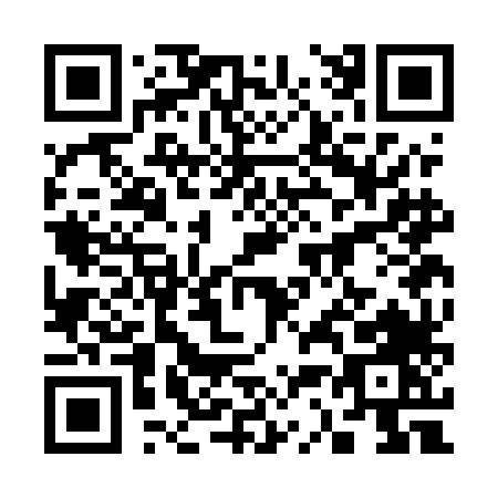 QR code for 333EL