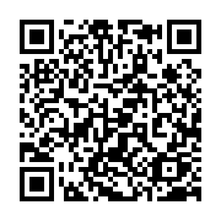 QR code for 33417P