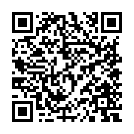 QR code for 33595