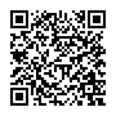 QR code for 335MS