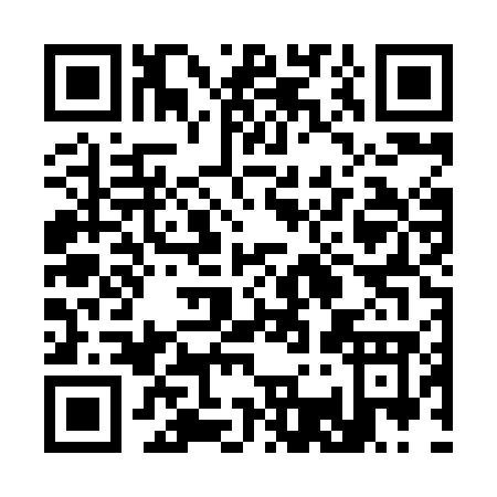 QR code for plate 3-36XG