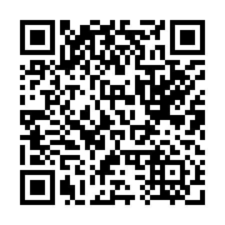 QR code for 338911