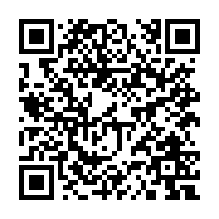 QR code for 339DW
