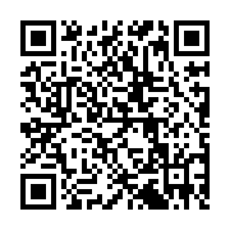 QR code for 33DYE