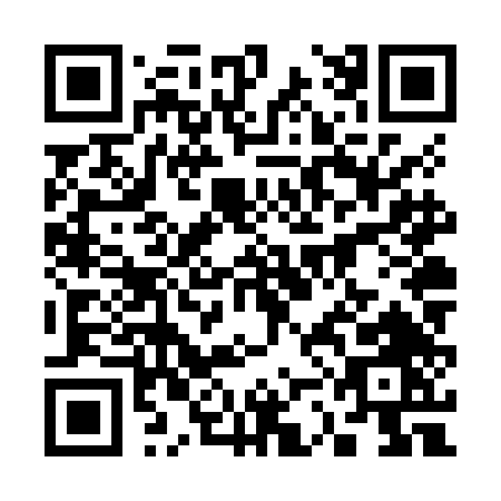 QR code for plate 3-3NZD