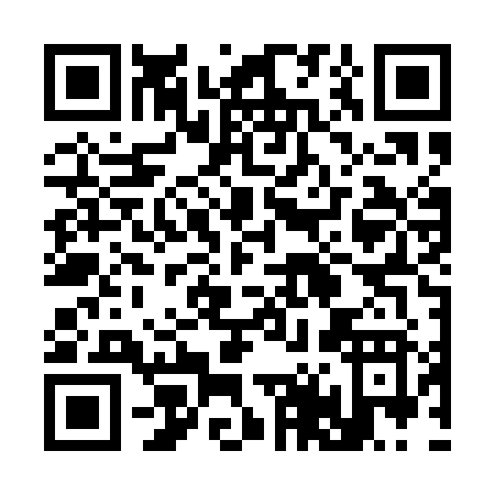 QR code for plate 3-46QJ