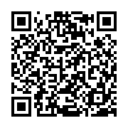 QR code for plate 3-55132