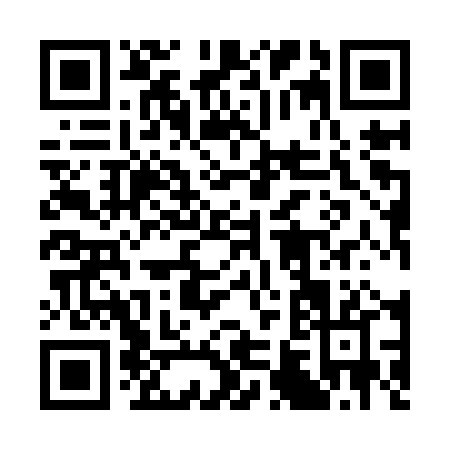 QR code for 3699P