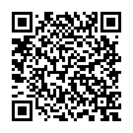 QR code for plate 3-78175