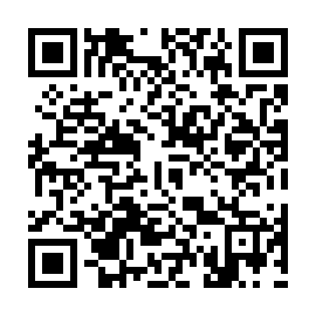 QR code for plate 3-78767