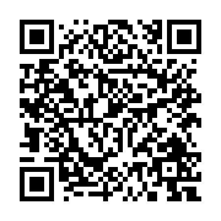 QR code for 379EV