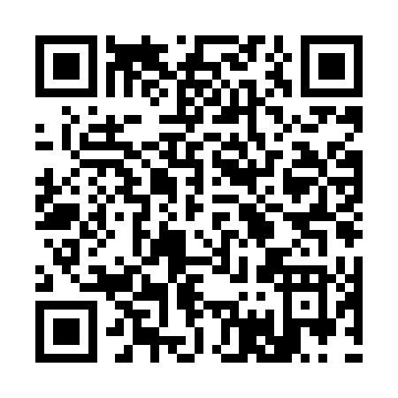 QR code for 379LT