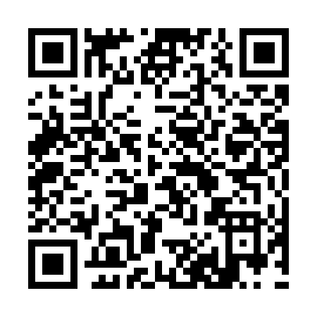 QR code for 3817T