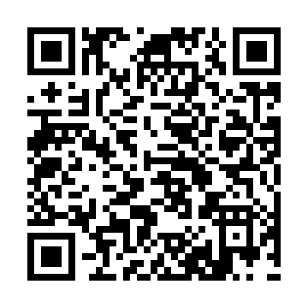 QR code for 38198