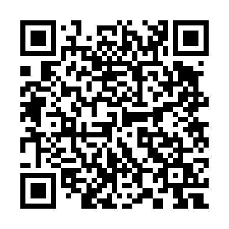QR code for 38247U