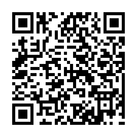 QR code for 38271