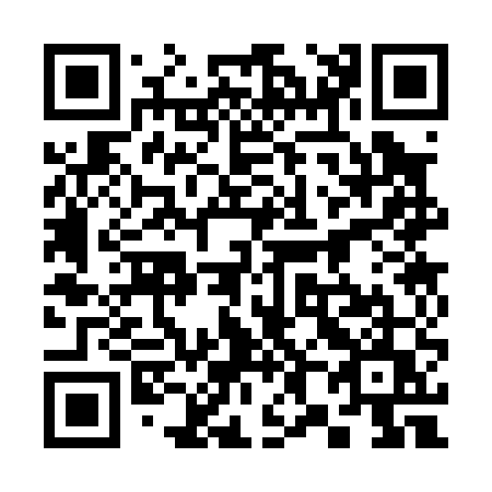 QR code for 38305U