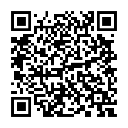 QR code for 38309T