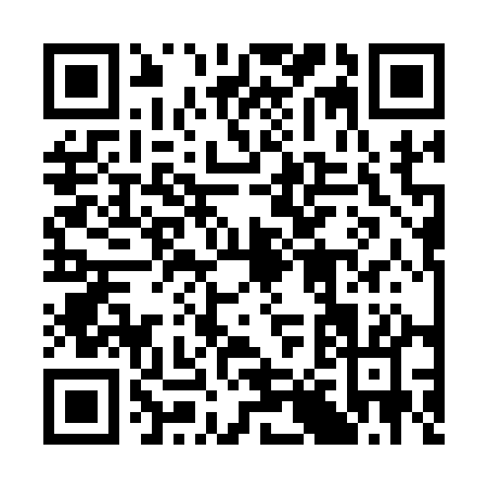QR code for 38311