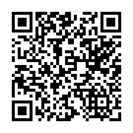 QR code for 383225