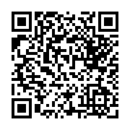 QR code for 38335