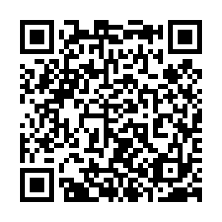 QR code for 383433