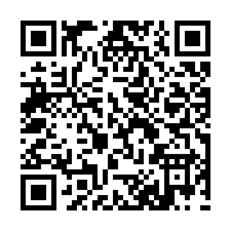 QR code for 383SY