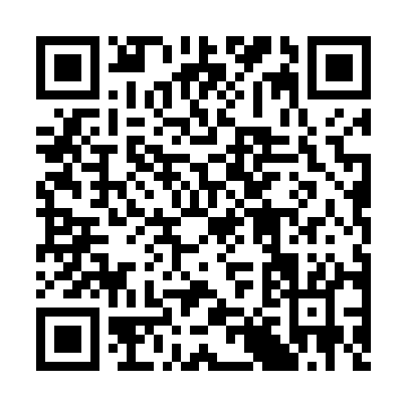 QR code for 38441