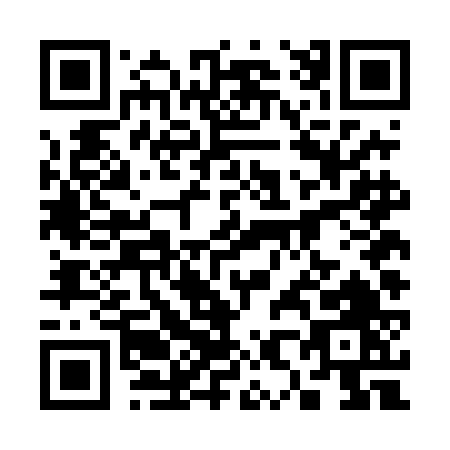 QR code for 384DF